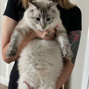 Meet your Posher, Laura